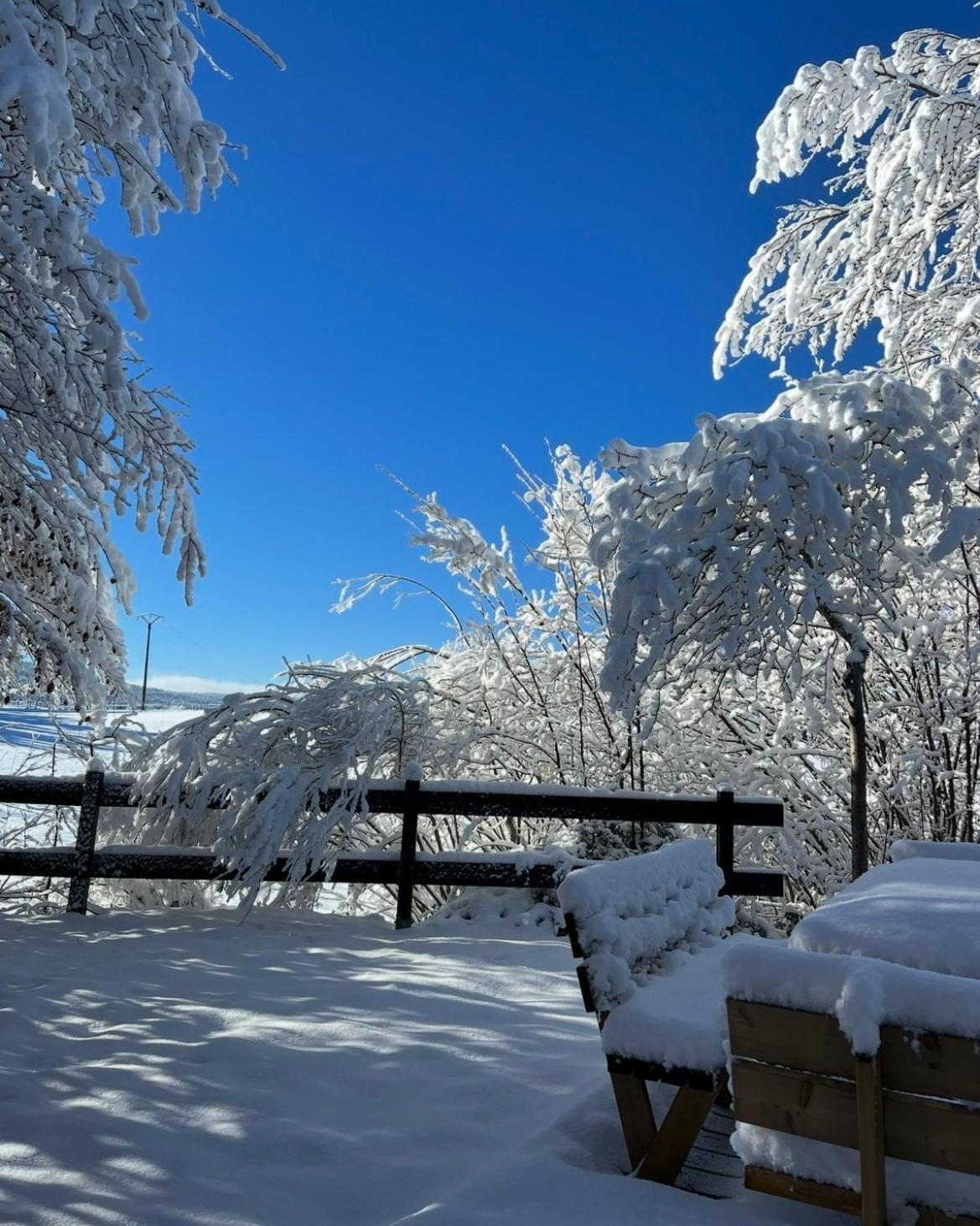 Chalet Cosy Entre Lacs Et Montagnes * Metabief